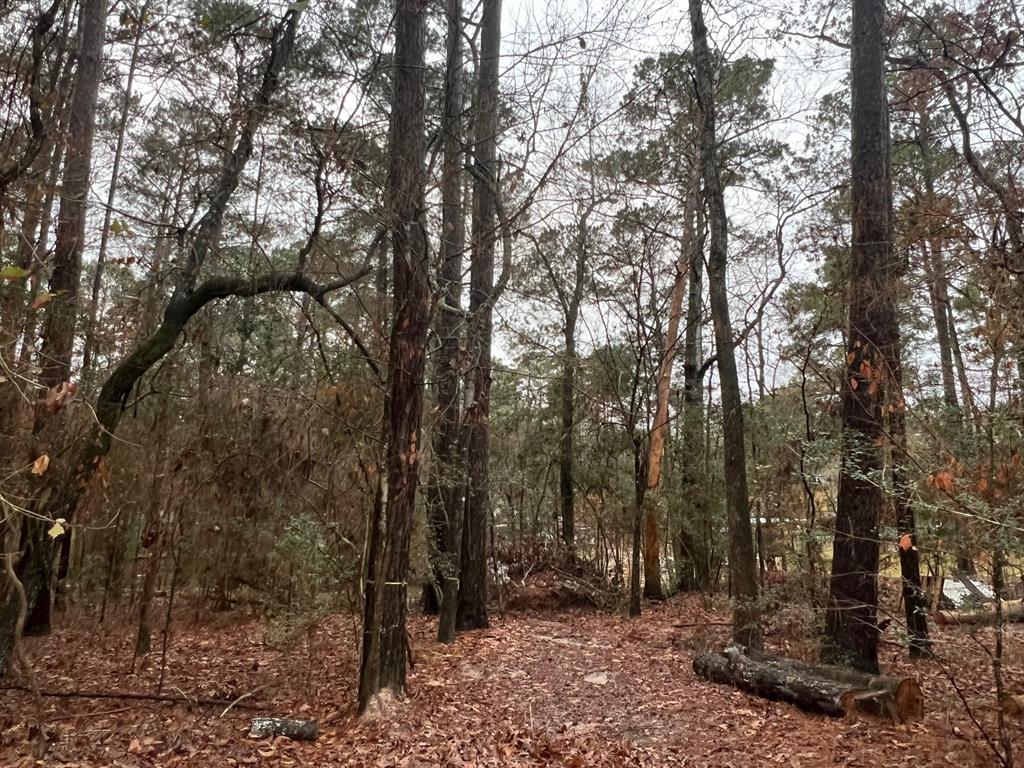 0 Willow Drive, Point Blank 0 Willow Drive Point Blank Texas 77364, 64