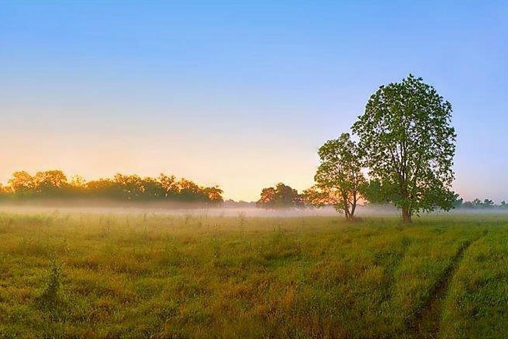 Meadows offer a kaleidoscope of colors and textures.  Flowers including Mexican Hat, Bluebonnets, and tall grasses are landscaped among nesting birds, deer, raccoons, rabbits, migrating geese and butterflies. Hike, stroll or walk…this is the place where you can enjoy it.