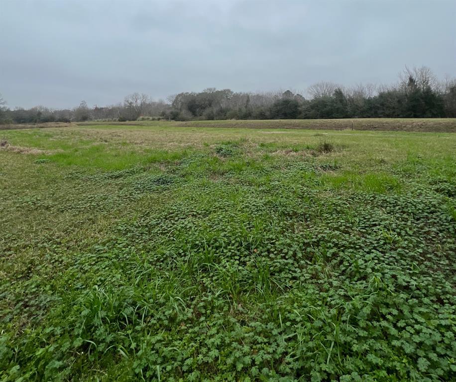 0 Vermont Street, Fresno, TX 77545