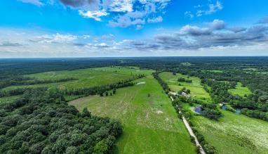 TBD Duke Rd  , Apple Springs, Texas image 13