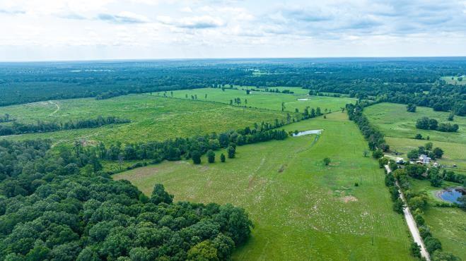 TBD Duke Rd  , Apple Springs, Texas image 14