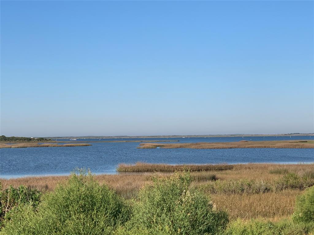 Water view and wetlands behind the house.