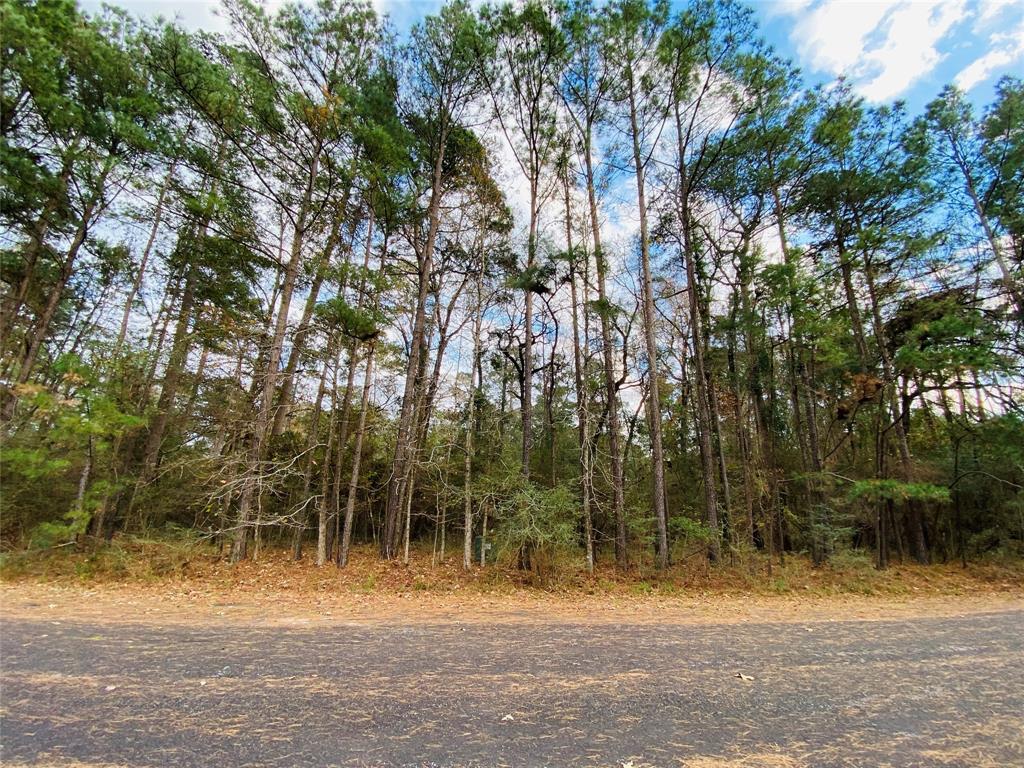 0  Pine Valley  Huntsville Texas 77320, 64