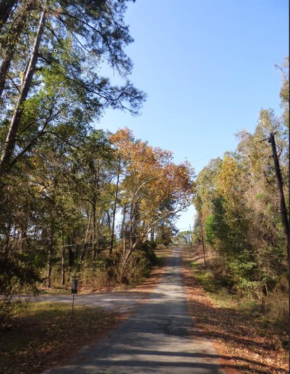 Lot 7 Pinemont Way, Point Blank Lot 7 Pinemont Way Point Blank Texas 77364, 64