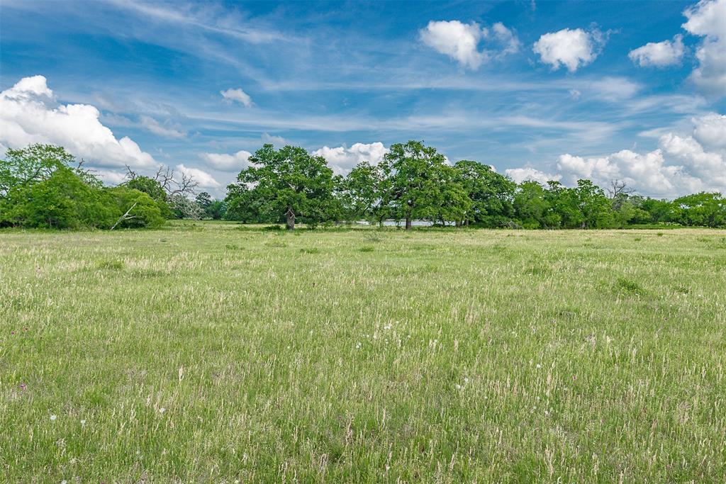 Looking for that diverse property that fits all your need for homesite, pasture grazing or recreation. This acreage sits privately at the end of N Old Springfield Road. Plenty of pasture to graze your livestock with rolling terrain creating multiple homesite locations, a pond for fishing and tree lined wet-weather creek creates a great hunting location surrounded by heavily wooded neighboring tracts. Water and electricity are available.