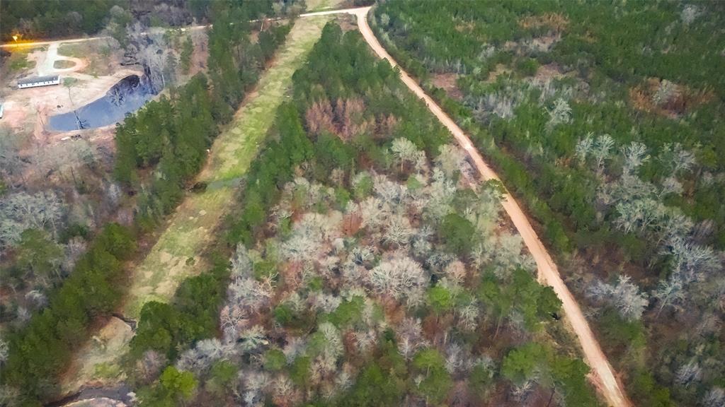 0  Tract 29 Road Groveton Texas 75845, 42