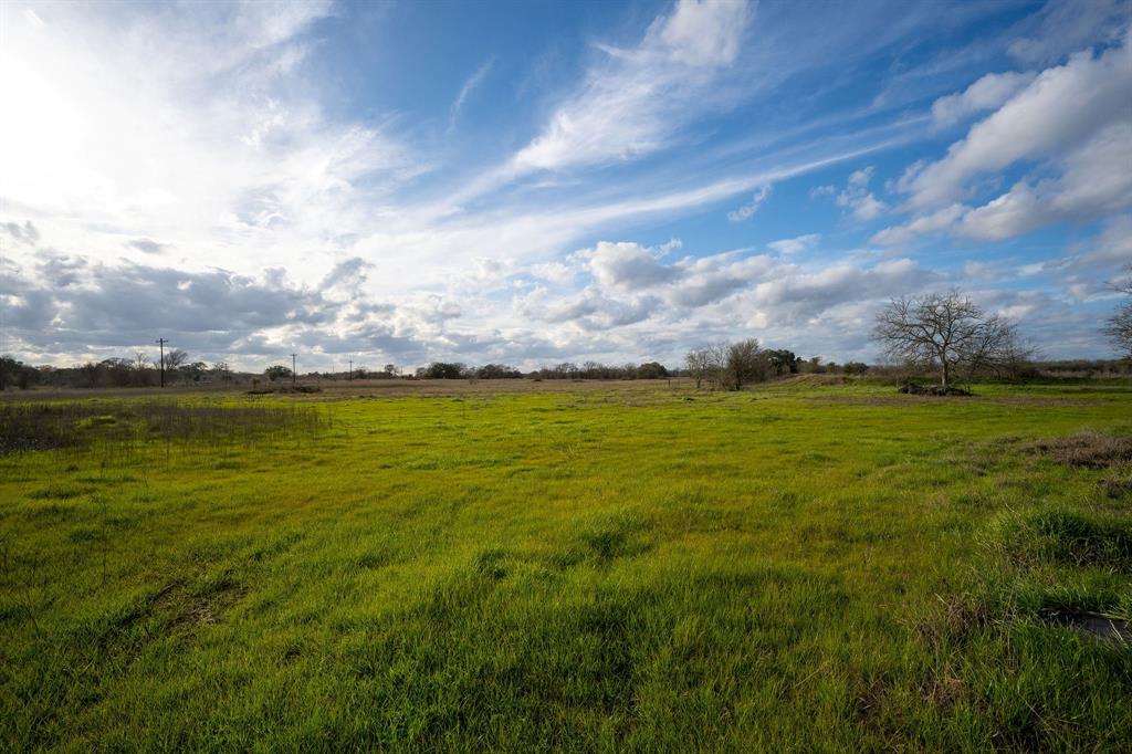 11 beautiful acres nestled in the country with an open grassy field. Perfect place to build your weekend getaway or make it your forever home! Wildlife types in the area include deer, hogs, doves and ducks. This property is conveniently located in the heart of Central Texas within 10 miles to Giddings, 20 miles to Round Top, 28 miles to Brenham, 65 miles to Austin and 85 miles to Houston. Water is available at the road through Lee County Water and Electricity is available through Bluebonnet Electric. Septic is needed.