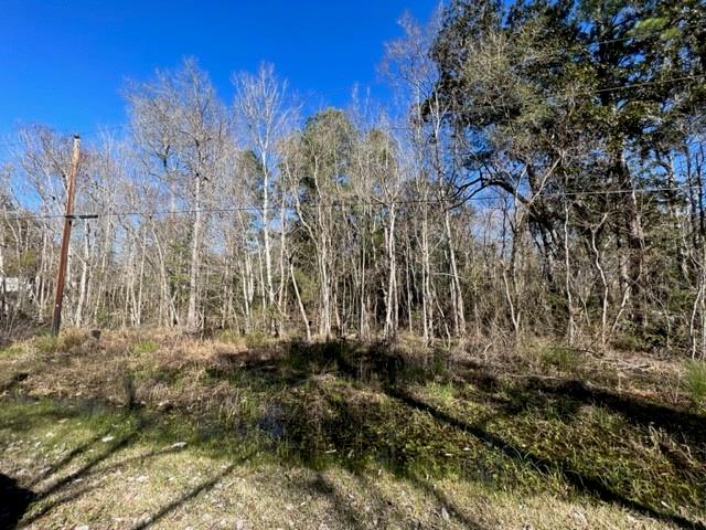 998 Presley Lane, Shepherd 998 Presley Lane Shepherd Texas 77371, 52