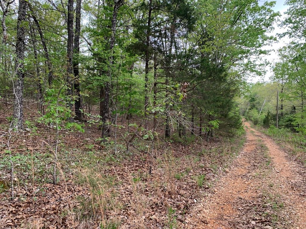 Lot 13 Old CCC Road, Other, AR 72542