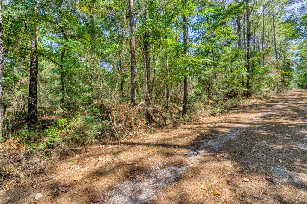 Lot 2 N Council Dr  Hempstead Texas 77445, Hempstead
