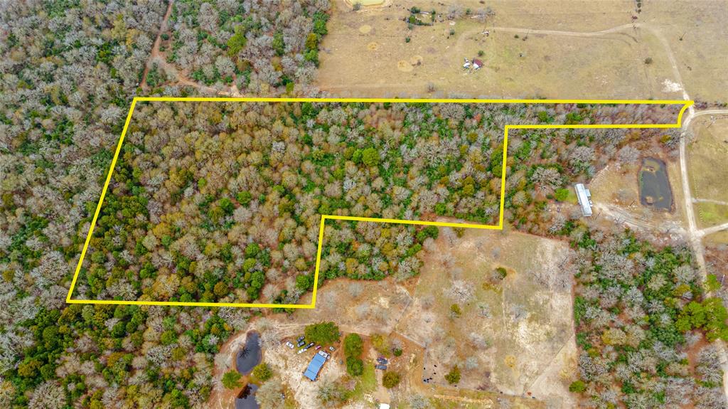 This unrestricted 13-acre property is located in the low-tax region of Madison County, offering abundant potential for a variety of uses. Whether you desire to build your dream home, a weekend retreat, or a leisure ranch, this property is perfect for you. The acreage is densely wooded, providing the desired privacy, yet easily accessible. Plus, the proximity to the Trinity River makes it an attractive location for water activities. Priced to sell, don't miss out on this exceptional opportunity! Schedule a showing today.