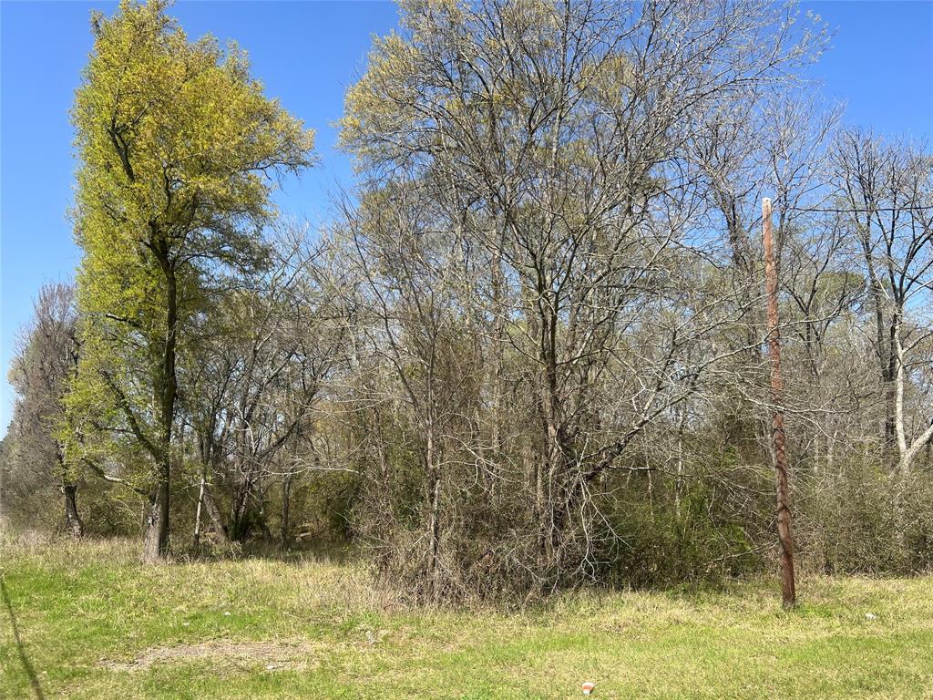 120  Timber Creek Road New Waverly Texas 77358, New Waverly