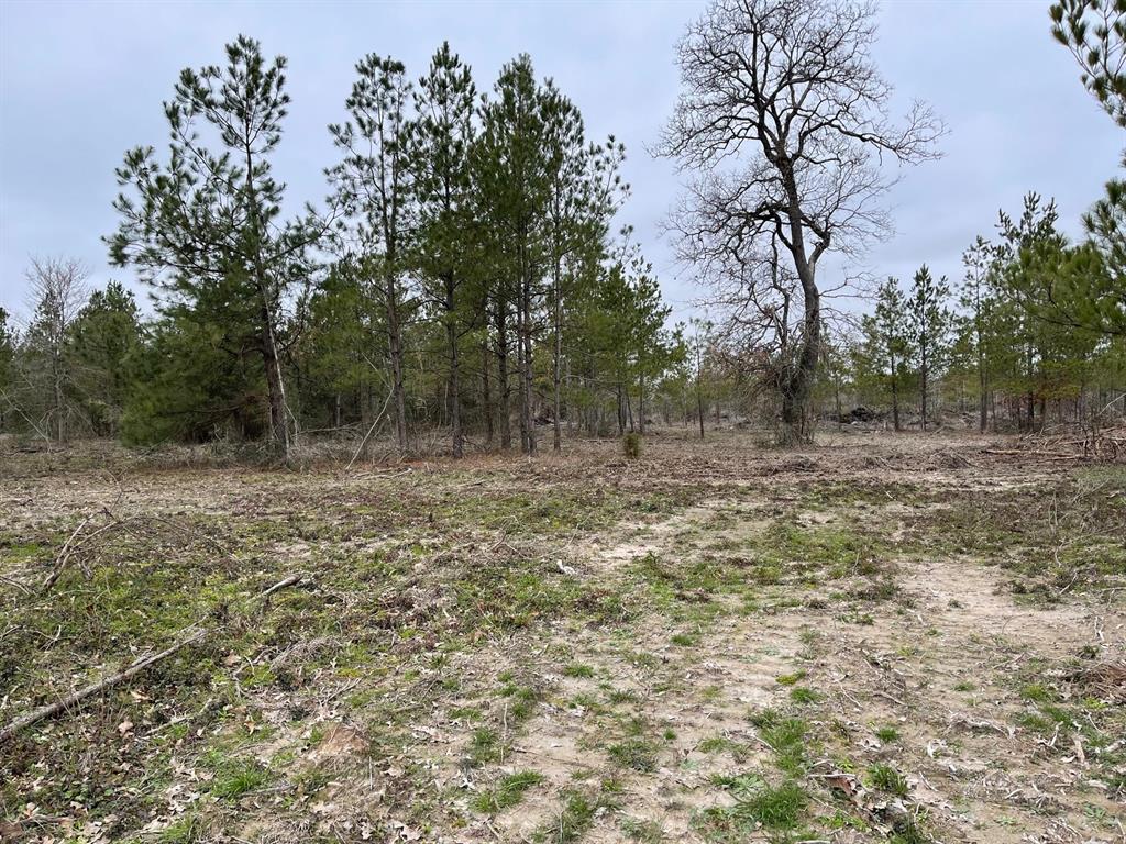 TBD County Rd 3375, Lovelady, TX 75851