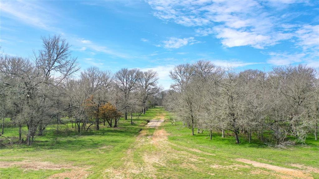 TBD County Road 203, Paige, TX 78659