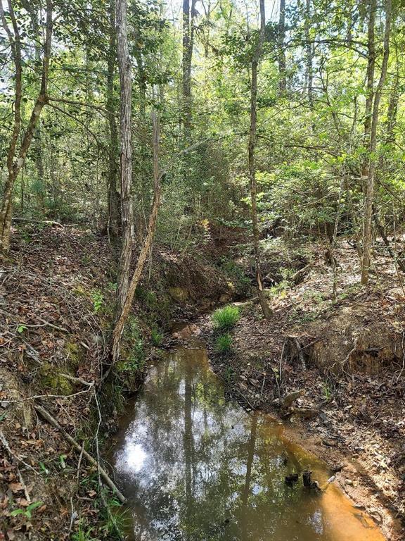 Property has a seasonal creek flowing through it, creek did not overflow in recent times of heavy rain.