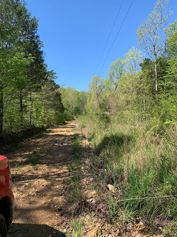 Lot 16 Spring Valley, Other, AR 72482