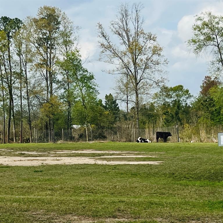 32  County Road 5031  Cleveland Texas 77327, 52