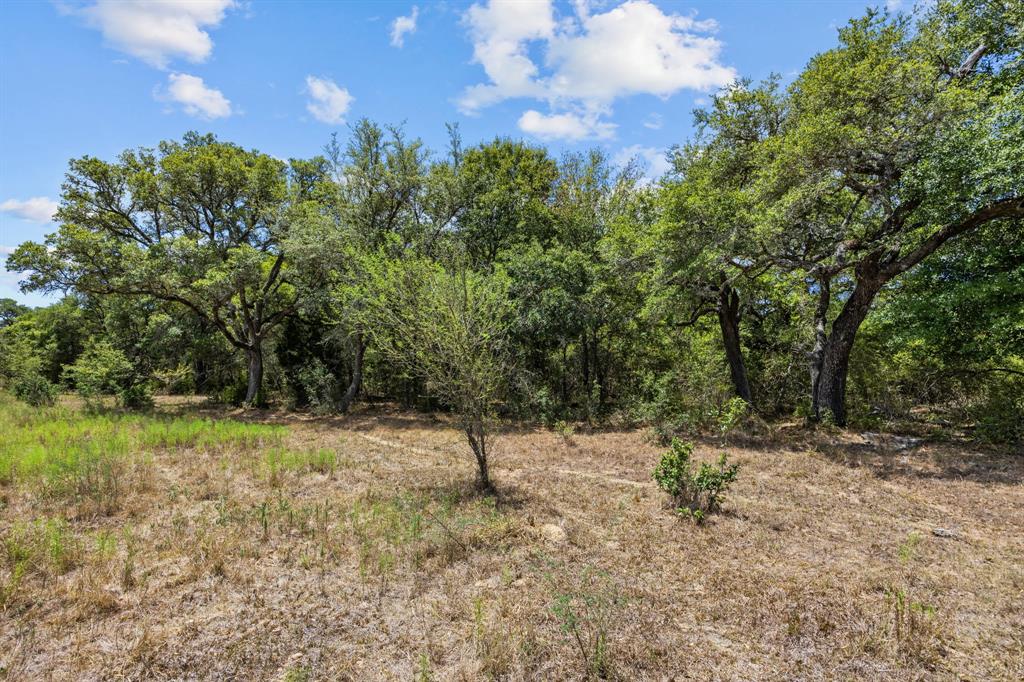 Tract 2 County Road 106  , Columbus, Texas image 4