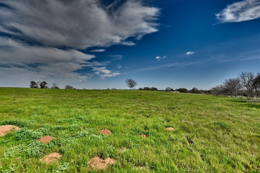 000  Star Hill Road New Ulm Texas 78950, 57