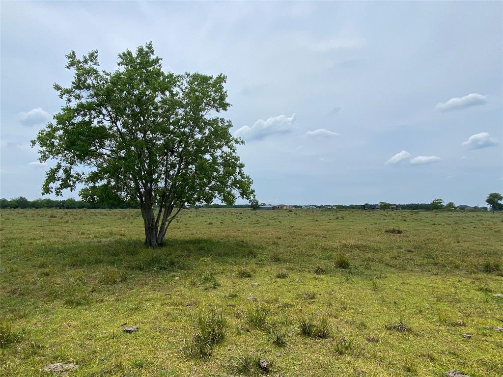 0 Lot 11, County Road 382, Rosharon 0 Lot 11, County Road 382 Rosharon Texas 77583, 5