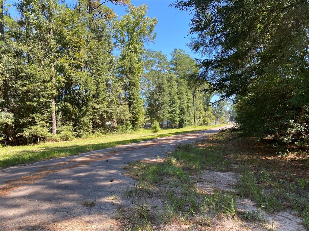 0  Birch Ln  Cleveland Texas 77328, 40