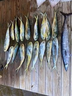 Get your gulf of mexico catch leaving right from your home!