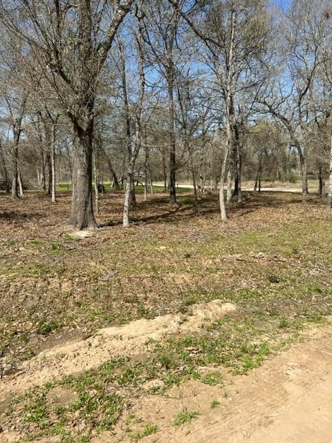 24910  Armagh Street Hempstead Texas 77445, 26
