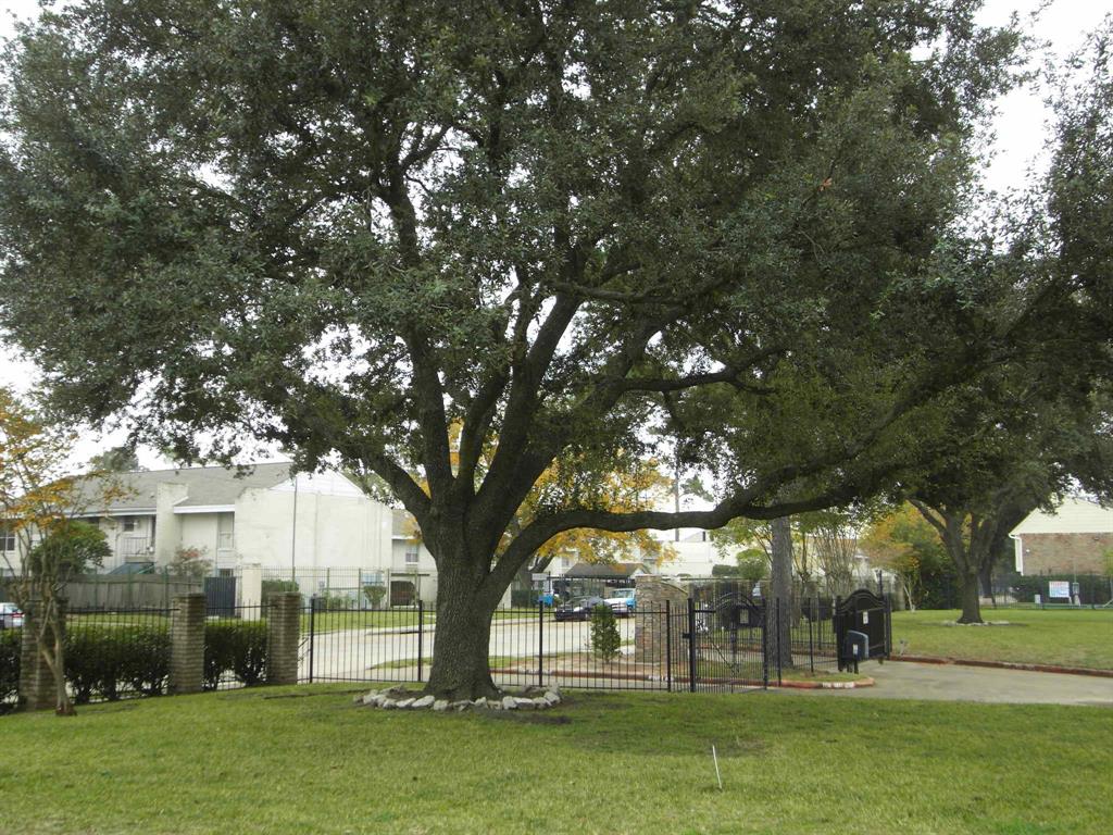 Photo #3: 64540404 Listing 