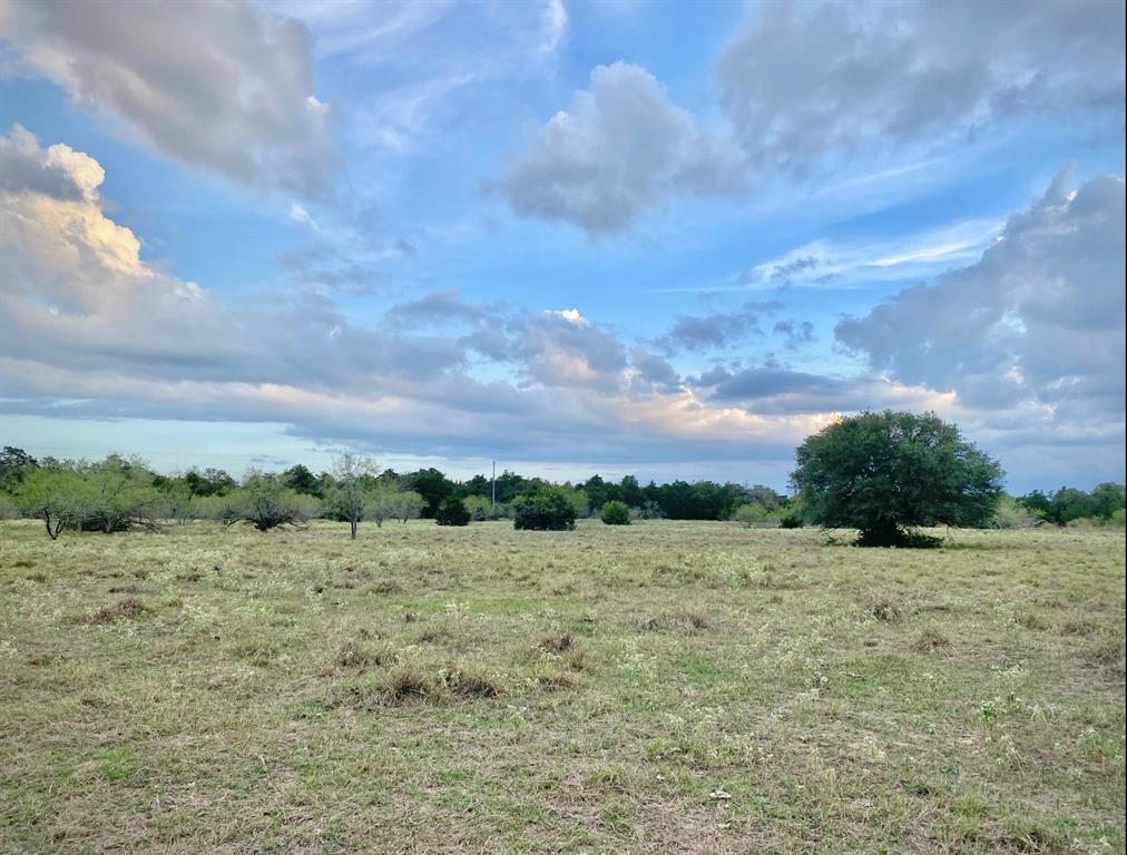 TBD  Goehring Rd - Lots 1-2  Ledbetter Texas 78946, Ledbetter
