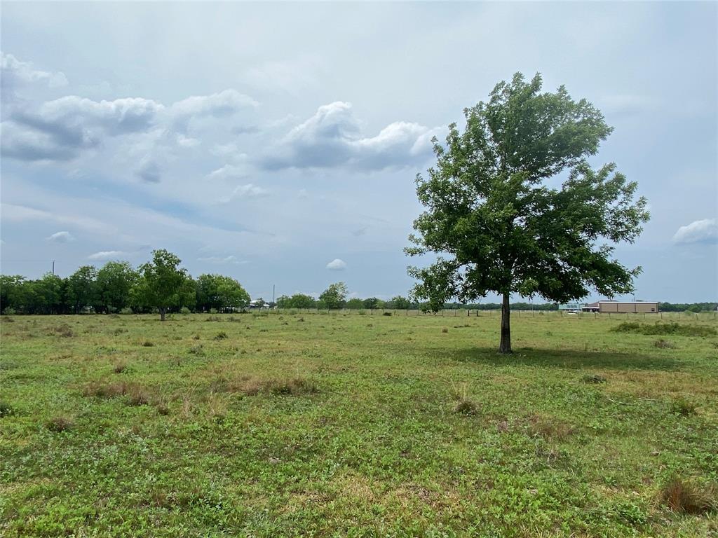 0 Lot 7, County Road 382, Rosharon 0 Lot 7, County Road 382 Rosharon Texas 77583, 5