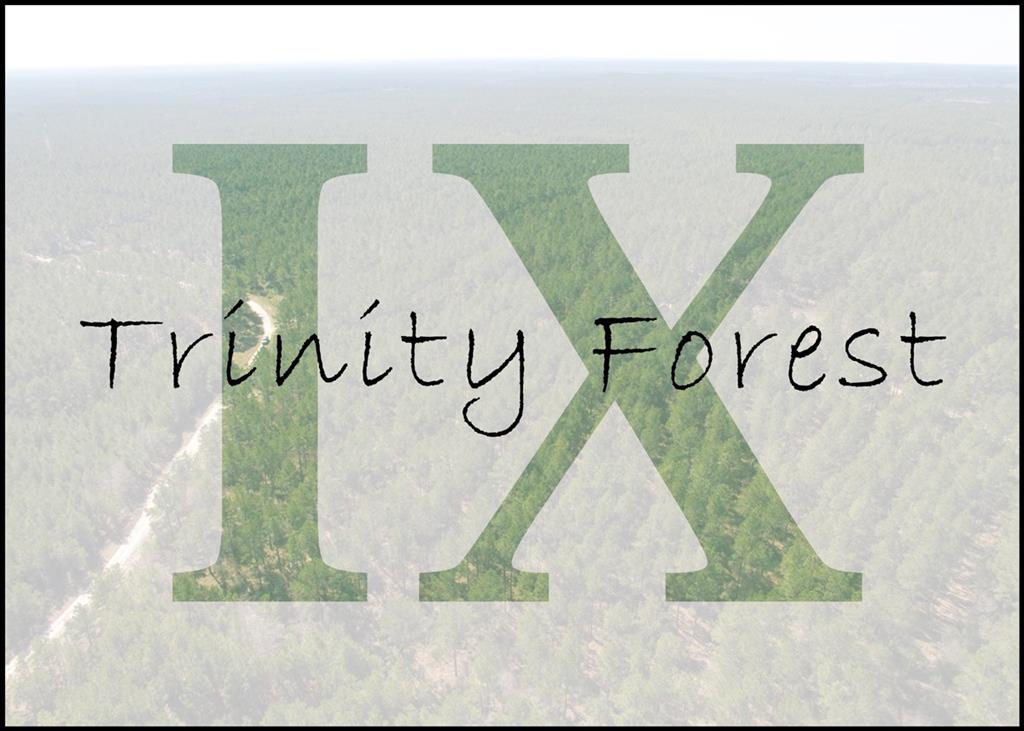 1st Time Open Market Offering!!! Heavily wooded in pine with mixed hardwoods. Low traffic private road access.
Own a piece of Trinity Forest! Selective breakup for this historic forestry tract.
Great location in a quiet, natural setting. Minutes away from Groveton, TX.