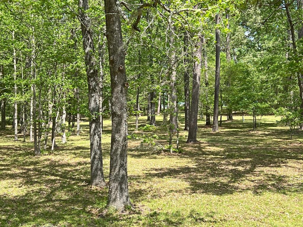 This property would make such a beautiful homesite!