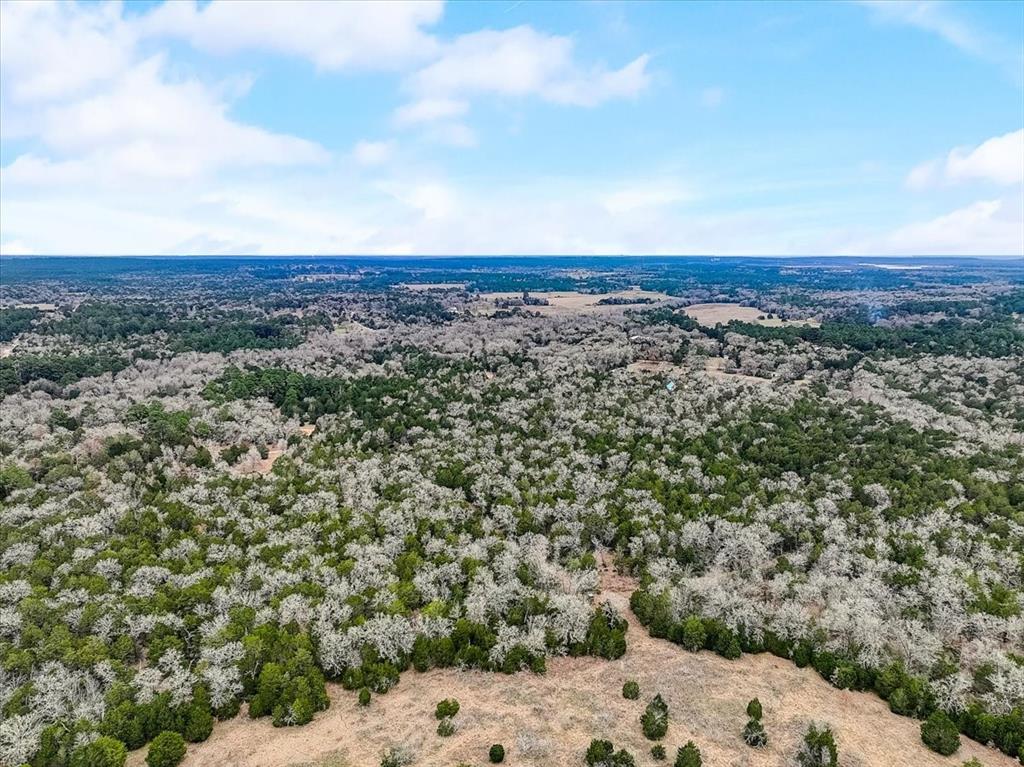Looking for your very own private homestead? Look no further than this beautiful landscape of over 15 acres tucked away in the "Lost Pines" of Bastrop! This piece of land is just waiting for you to build your dream home and escape the hustle and bustle, staying within a short drive to Bastrop for shopping, dining, outdoor activities and entertainment. It has a small open meadow surrounded by soaring forest for privacy and a partial barbed wire livestock fence - just perfect for the Ag Exempt you can get for this beautiful property. Sitting at the end of Cody Lane, this piece is a very private and secluded. Just imagine the home and life you can build here! With a cleared path through the forest, you can walk almost the entire property, just bring the proper foot ware for this adventure. When visiting, use apps like Landglide and Homesnap, allowing you to know exactly where you are in relation to property lines while touring. Buyers should be accompanied by their realtor for showings.