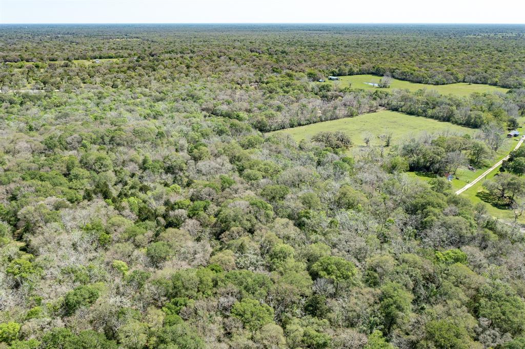 County Road 321  , Sweeny, Texas image 13