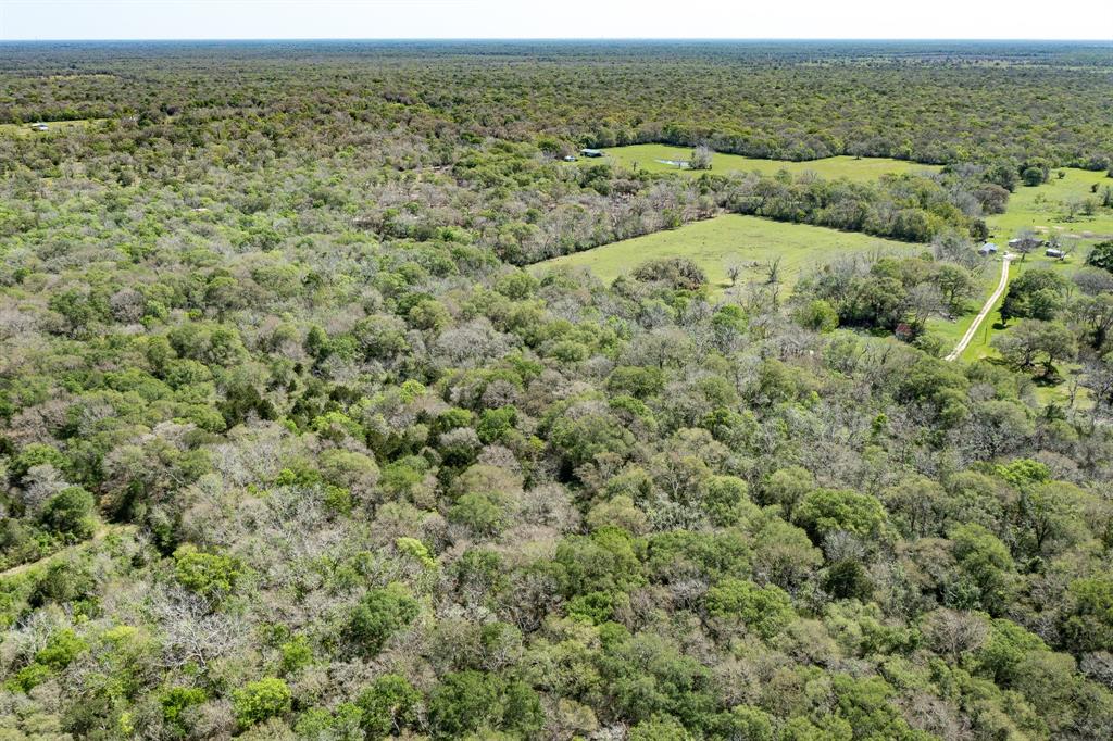 County Road 321  , Sweeny, Texas image 14