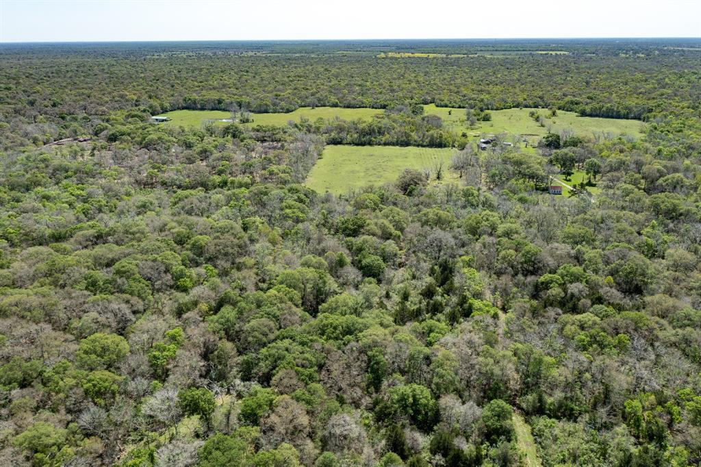 County Road 321  , Sweeny, Texas image 15