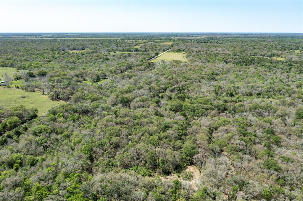 County Road 321  , Sweeny, Texas image 17