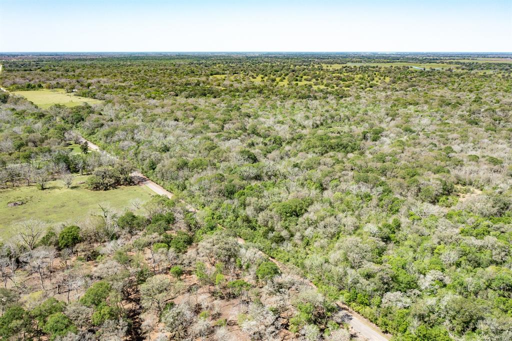 County Road 321  , Sweeny, Texas image 20