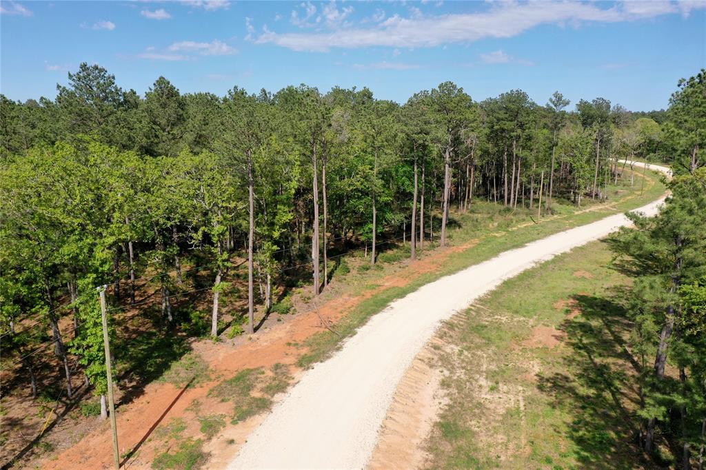 Road leading you to your homesite.