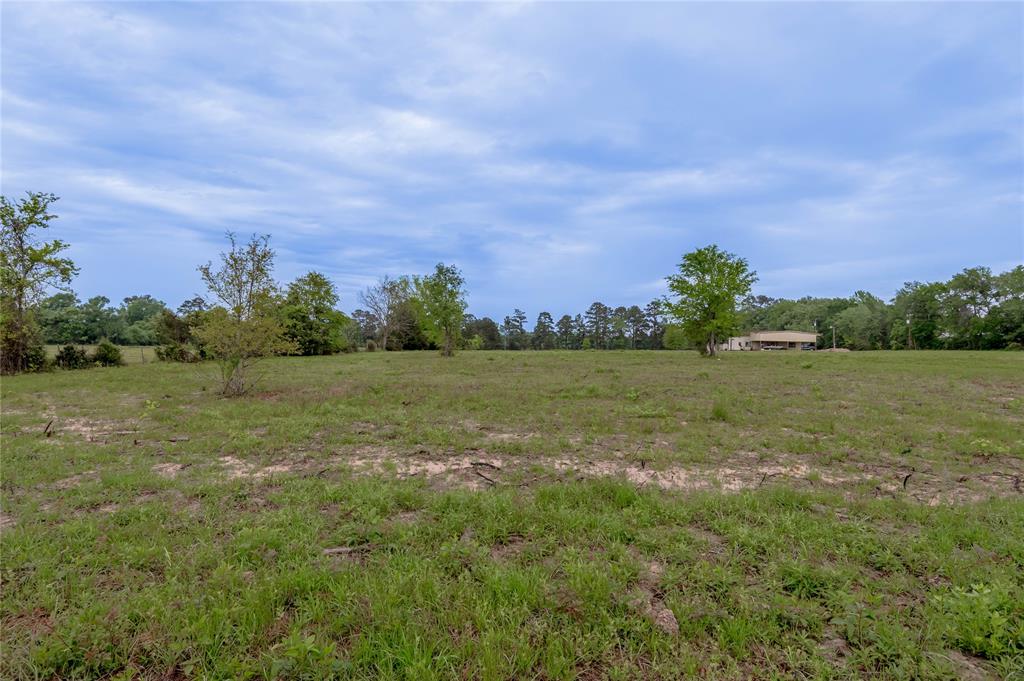 10679 W Fm 358  Pennington Texas 75856, 42