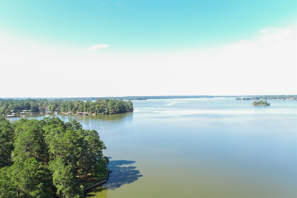 LAKEFRONT! Find out why East Texas is growing like never before! Part of a total 558 acres, come see the diverse natural wildlife this area offers in this rare Lake Livingston water-front ranch. With rolling hills and beautiful park-like managed woods, this property is ideal for development! Underground electricity throughout. Over 1 mile of Lake Livingston water frontage. While the bulk-head (~1,900+ ft.) prevents costly waterfront erosion, the scenic path running alongside provides invaluable views and tranquility. The rolling topography includes over 120 feet of elevation change due to its natural bedrock. Interior lake, landscaping, enhanced entry/gate. Boathouse, with sun deck. Two covered bridges. Water system. Enhanced lighting. An additional 8 acres, with water frontage and adjoining the subject property, is available by a 3rd party seller. Additional/Optional  1.5 +/- acres with ~ 2100 SF, very nice, home, and Quonset barn, available for $375,000.