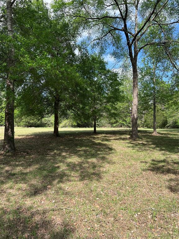 Tract 1  Everitt Road  Cleveland Texas 77328, 64