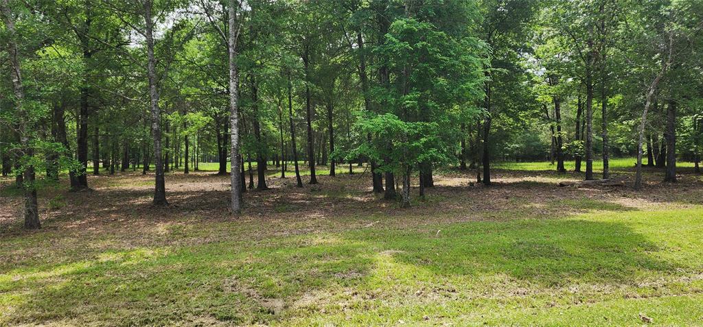 Lot 4  Hidden Cove Road Point Blank Texas 77364, Point Blank