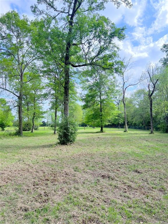 Tract 2  Everitt Road  Cleveland Texas 77328, 64