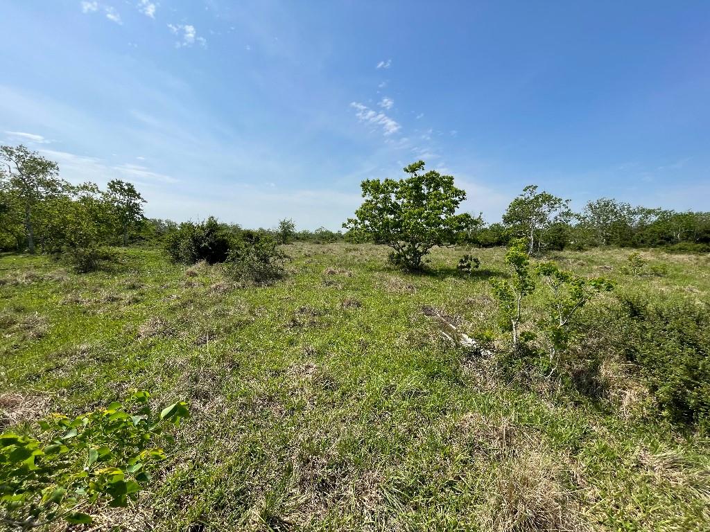 0 County Road 203, Danbury, TX 77534