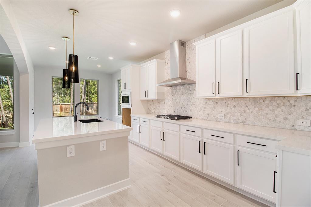 130 Dorado Sky Court, Willis, TX 77318