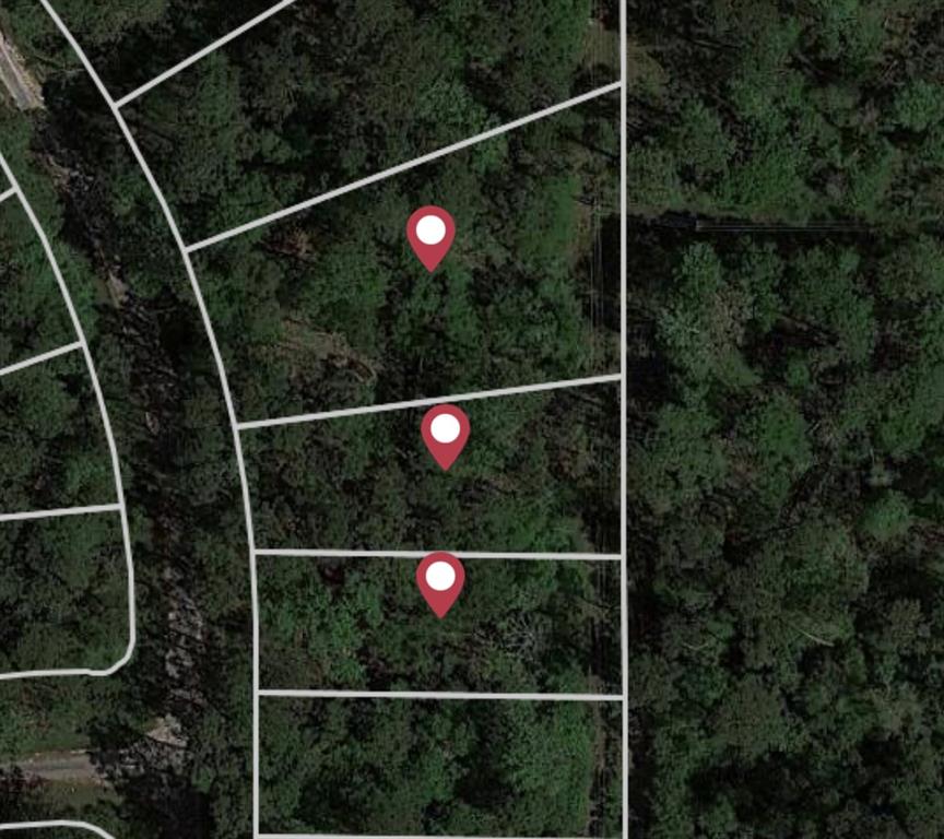 0  Mirabeau Drive Houston Texas 77338, 1