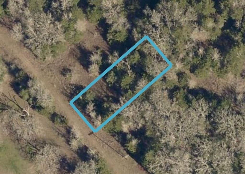 772  Juniper Drive Caldwell Texas 77836, 59