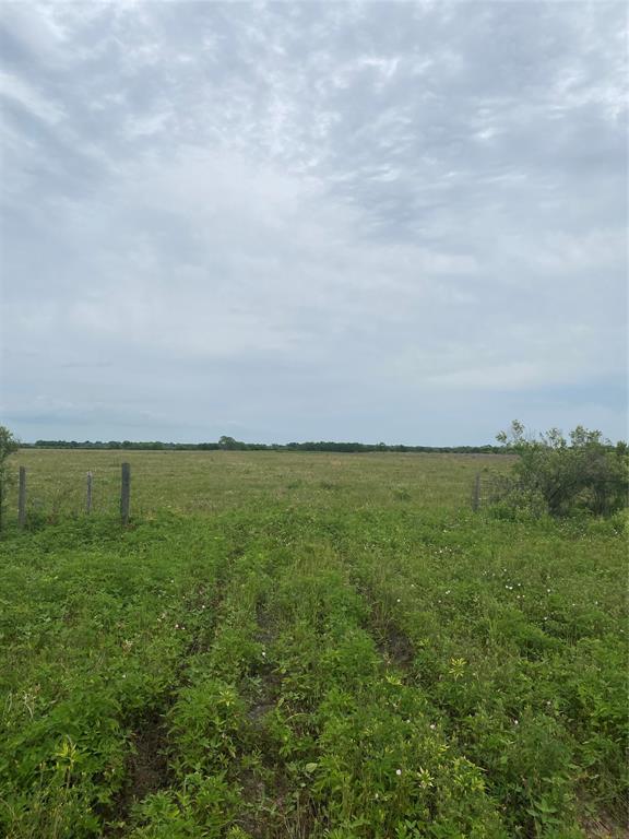 This beautiful parcel of land is located in the serene town of Winnie, Texas. The land is situated along a county-maintained road, and electricity is readily available. 

 The property measures 577 feet by 1774 feet, making it a generous-sized plot for any number of uses.
The land is cleared and looks like a meadow, offering a picturesque and serene setting. The flat terrain and clear surroundings make it ideal for farming, gardening, or even building a custom home. You'll have ample room to create your dream property or subdivide into smaller lots.

 Please note that water and septic hookups will need to be installed on the property. However, this is a small hurdle for the opportunity to own a gorgeous plot of land in a peaceful Texas town.
If you're searching for a tranquil and secluded retreat, this 13.5-acre property in Winnie, Texas, might be exactly what you're looking for. Contact us today to learn more about this unique opportunity to own a slice of Texas paradise.