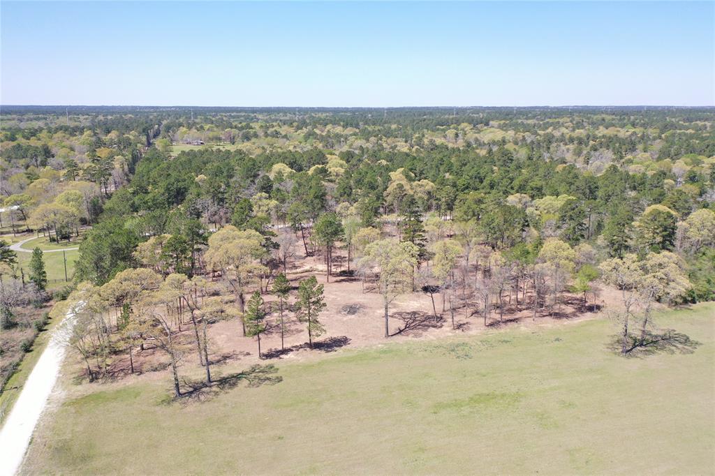 1639 Cedar Rd, Plantersville, TX 77363